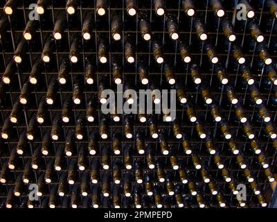 Scaffale pieno di bottiglie di vino di porto; valle del fiume Douro, Portogallo Foto Stock
