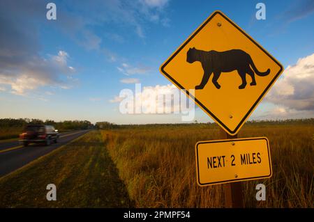 Cartello di attraversamento Panther all'Everglades National Park, Florida, Stati Uniti d'America; Florida, Stati Uniti d'America Foto Stock