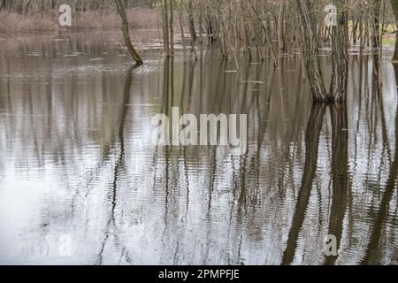 Non esclusiva: KIEV, UCRAINA - 13 APRILE 2023 - i livelli dell'acqua aumentano nel fiume Dnipro, Kiev, capitale dell'Ucraina. Foto Stock