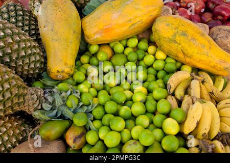 Frutti tropicali esotici tra cui ananas, limes e papaya; Ambergris Caye, Belize Foto Stock