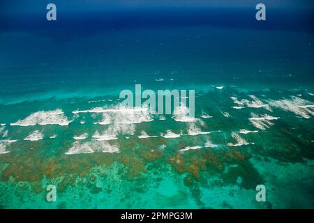 Vista aerea al largo della costa di Ambergris Caye; Ambergris Caye, Belize Foto Stock