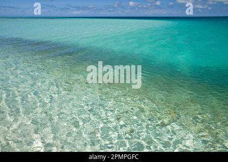 Acque turchesi limpide nelle isole Seychelles; Seychelles Foto Stock
