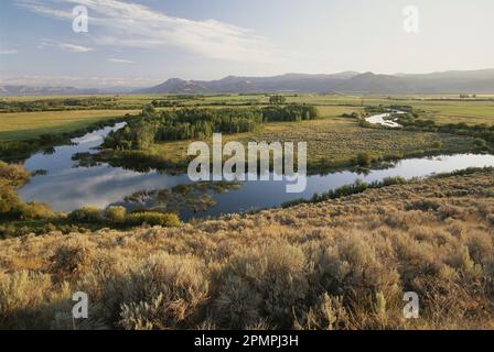 Vista di Silver Creek e della lussureggiante campagna in una mattinata nebbiosa, con lo sfondo delle Montagne Rocciose; Idaho, Stati Uniti d'America Foto Stock