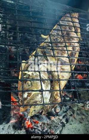 Il pesce viene grigliato su carboni caldi; Cancun, Quintana Roo, Messico Foto Stock