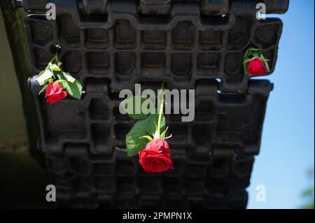 08.05.2022, Berlino, Germania, Europa - le rose rosse sono collocate nella catena di un carro armato T-34 al Memoriale di guerra sovietico lungo 17 June Street. Foto Stock