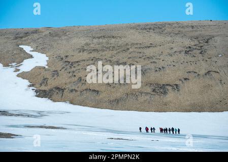 Escursioni di gruppo lungo la riva del fiordo Palanderbukta; Nordaustlandet, Svalbard, Norvegia Foto Stock