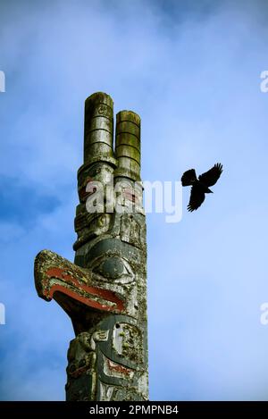 Parte superiore di un totem con un corvo che vola sullo sfondo a Old Massett, una comunità di Haida sull'isola Graham Foto Stock