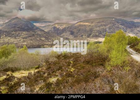 L'Affric Kintail Way è una superba strada di fondo completamente segnalata per escursionisti e mountain bike che si estende per quasi 44 km da Drumnadrochit Foto Stock