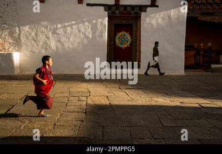 Monaco che corre attraverso il monastero di Rinpung Dzong; Paro Valley, Bhutan Foto Stock