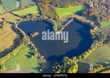Vista aerea sul lago Ankersche, a forma di cuore vicino a Behlendorf a Kreis Herzogtum Lauenburg in autunno, Schleswig-Holstein, Germania Foto Stock