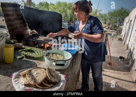 Donna, membro di un gruppo agricolo femminile, cucina il pane piatte a Ejido Hidalgo, vicino a Matehuala, Messico; Ejido Hidalgo, San Luis, Messico Foto Stock
