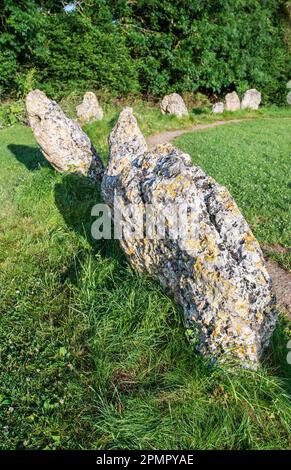 Il Rollright Stones nei pressi del villaggio di Long Compton sui confini di Oxfordshire e Warwickshire in Inghilterra, Regno Unito Foto Stock