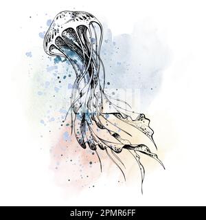 Grafica di meduse marine su macchie e schizzi di acquerello blu e rosa. Un'illustrazione disegnata a mano. Composizione isolata su sfondo bianco per Foto Stock