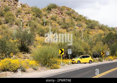 Lungo la Bush Highway a Mesa, Arizona Foto Stock