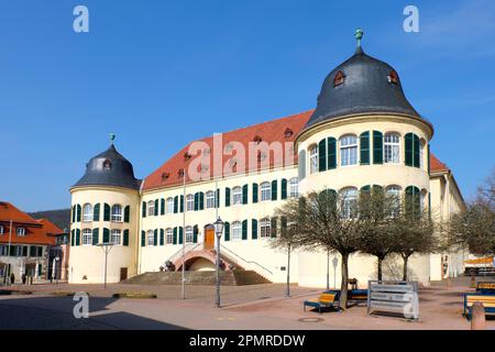 Castello di Bergzabern, Bad Bergzabern, strada del vino tedesca, anche strada del vino meridionale, Palatinato meridionale, Palatinato, Renania-Palatinato, Germania Foto Stock