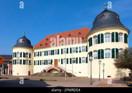 Castello di Bergzabern, Bad Bergzabern, strada del vino tedesca, anche strada del vino meridionale, Palatinato meridionale, Palatinato, Renania-Palatinato, Germania Foto Stock