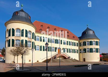 Castello di Bergzabern, Bad Bergzabern, strada del vino tedesca, anche strada del vino meridionale, Palatinato meridionale, Palatinato, Renania-Palatinato, Germania Foto Stock