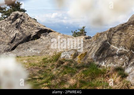 Camel Rock vicino Westerhausen nelle montagne Harz Foto Stock