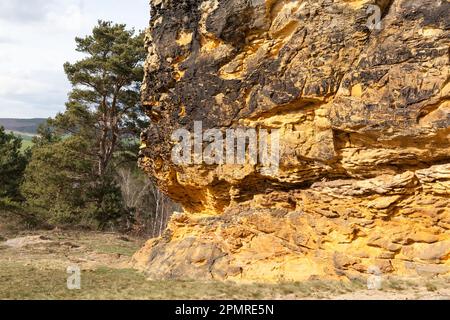 Camel Rock vicino Westerhausen nelle montagne Harz Foto Stock