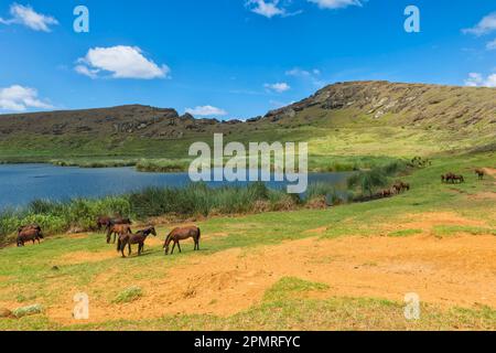 Lago Cratere Rano Raraku, Parco Nazionale di Rapa Nui, Isola di Pasqua, Cile, Sito Patrimonio dell'Umanità dell'UNESCO Foto Stock