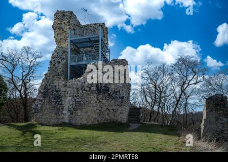 Vista sulle rovine del castello di Lauenburg in primavera sui monti Harz Foto Stock