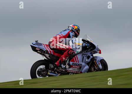 Austin, Texas, Stati Uniti. 14th Apr, 2023. Team rider #23 ENEA BASTIANINI Ducati Lenovo Team al top del turno 9 (Credit Image: © Hoss McBain/ZUMA Press Wire) SOLO PER USO EDITORIALE! Non per USO commerciale! Credit: ZUMA Press, Inc./Alamy Live News Foto Stock