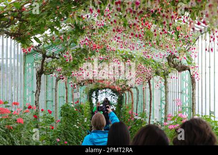 Bruxelles, Belgio. 14th Apr, 2023. La gente visita le Royal Greenhouses di Laeken a Bruxelles, Belgio, il 14 aprile 2023. Le Royal Greenhouses del Belgio a Laeken di Bruxelles sono aperte al pubblico dal 14 aprile al 7 maggio di quest'anno. Credit: Zheng Huansong/Xinhua/Alamy Live News Foto Stock