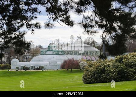 Bruxelles. 14th Apr, 2023. Foto scattata il 14 aprile 2023 mostra le Royal Greenhouses di Laeken a Bruxelles, Belgio. Le Royal Greenhouses del Belgio a Laeken di Bruxelles sono aperte al pubblico dal 14 aprile al 7 maggio di quest'anno. Credit: Zheng Huansong/Xinhua/Alamy Live News Foto Stock