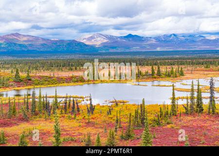 Tundra e montagne lungo il fiume Sustina sulla Denali Highway in Alaska Foto Stock
