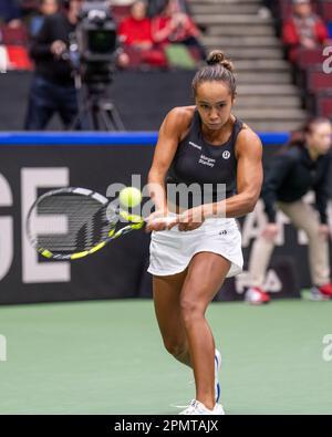 Vancouver, Canada. 14th aprile 2023. Leylah Fernandez del Canada in azione contro Yanina Wickmayer del Belgio durante la Billie Jean King Cup al Pacific Coliseum. Credit: Joe ng/Alamy Live News Foto Stock