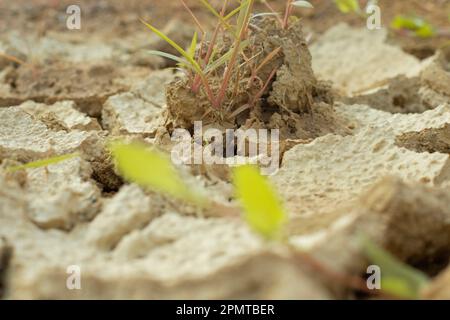 Immagine infrarossa della superficie terrestre incrinatura del suolo a causa della siccità. Foto Stock