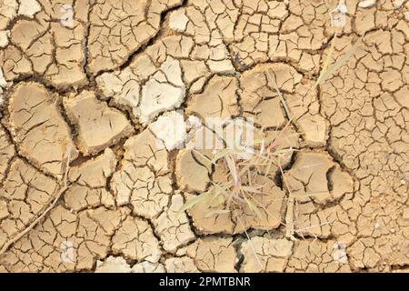 Immagine infrarossa della superficie terrestre incrinatura del suolo a causa della siccità. Foto Stock