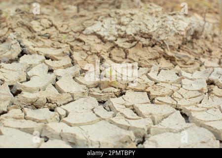 Immagine infrarossa della superficie terrestre incrinatura del suolo a causa della siccità. Foto Stock