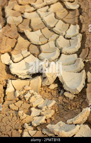 Immagine infrarossa della superficie terrestre incrinatura del suolo a causa della siccità. Foto Stock