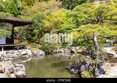 Il 2023 aprile, Kyoto Giappone, il quartiere dei templi di Ginkaku-Ji e i suoi giardini in un giorno di sole primaverile, include un giardino di sabbia asciutta e terreni coperti di muschio, Giappone Foto Stock