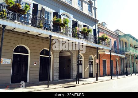 New Orleans, LA, USA 8 giugno 2017 le piante sono appese dai balconi e dalle gallerie del quartiere francese di New Orleans Foto Stock