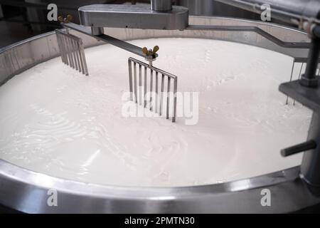 Processo di produzione del formaggio. Latte fermentato di fresco su durante il processo di produzione in fabbrica di latte. Foto Stock