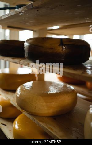 Teste di formaggio in cera su mensole di legno nel deposito di maturazione del formaggio. produzione di formaggi e latticini Foto Stock