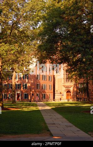 Un sentiero conduce attraverso il campus della Yale University a New Haven, Connecticut, verso la storica Connecticut House, sul verde Foto Stock