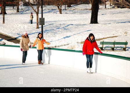 Un gruppo di pattinatori di ghiaccio principianti si tiene sulle pareti laterali della pista per evitare di cadere al Frog Pond di Boston Common Foto Stock