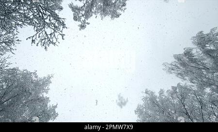 Caduta di neve sopra. Nevicate. La neve cade in fiocchi verticalmente sopra il cielo, cime innevate sugli alberi il giorno d'inverno. Molta neve cade sopra. Sfondo stagionale invernale. Sfondo innevato. Movimento lento Foto Stock