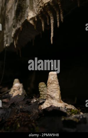 Foto di goccioline d'acqua che cadono sulla stalagmite ricoperta di calcare. Gocce d'acqua viste schizzare intorno in una grotta sotterranea Foto Stock