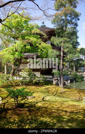 Il 2023 aprile, Kyoto Giappone, il quartiere dei templi di Ginkaku-Ji e i suoi giardini in un giorno di sole primaverile, include un giardino di sabbia asciutta e terreni coperti di muschio, Giappone Foto Stock