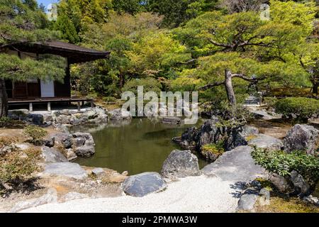 Il 2023 aprile, Kyoto Giappone, il quartiere dei templi di Ginkaku-Ji e i suoi giardini in un giorno di sole primaverile, include un giardino di sabbia asciutta e terreni coperti di muschio, Giappone Foto Stock