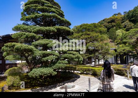 Il 2023 aprile, Kyoto Giappone, il quartiere dei templi di Ginkaku-Ji e i suoi giardini in un giorno di sole primaverile, include un giardino di sabbia asciutta e terreni coperti di muschio, Giappone Foto Stock