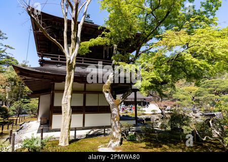 Il 2023 aprile, Kyoto Giappone, il quartiere dei templi di Ginkaku-Ji e i suoi giardini in un giorno di sole primaverile, include un giardino di sabbia asciutta e terreni coperti di muschio, Giappone Foto Stock