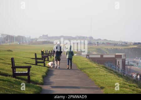 Coppia che cammina un cane sul mare a Whitley Bay Foto Stock