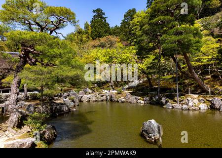 Il 2023 aprile, Kyoto Giappone, il quartiere dei templi di Ginkaku-Ji e i suoi giardini in un giorno di sole primaverile, include un giardino di sabbia asciutta e terreni coperti di muschio, Giappone Foto Stock