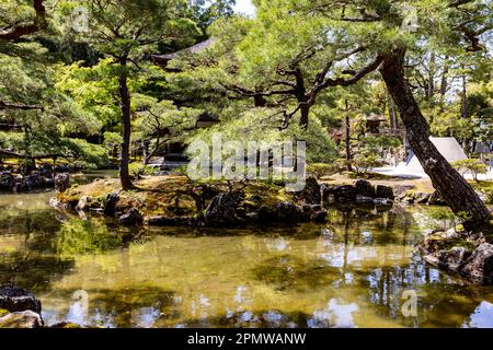 Il 2023 aprile, Kyoto Giappone, il quartiere dei templi di Ginkaku-Ji e i suoi giardini in un giorno di sole primaverile, include un giardino di sabbia asciutta e terreni coperti di muschio, Giappone Foto Stock