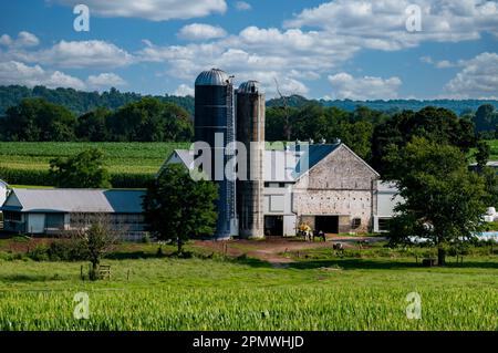 Una vista delle terre con campi di mais e Alfalfa, fienili e silos in un giorno estivo soleggiato Foto Stock